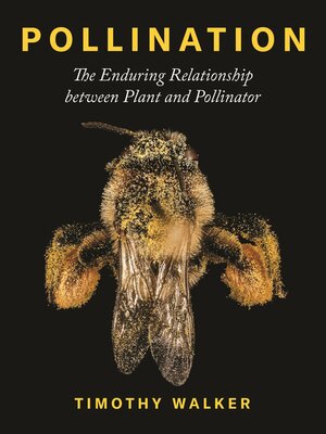 cover image of Pollination